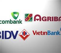 Cuộc rượt đuổi lợi nhuận và độ vênh vốn hoá ở các ngân hàng quốc doanh