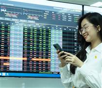 Chứng khoán hồi phục, cổ phiếu 'họ' Gelex gây chú ý