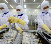 FMC: Doanh thu Thực phẩm Sao Ta giảm mạnh trong tháng 1/2026