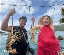 Sản lượng thủy sản tháng Một ước đạt hơn 613.000 tấn, thực phẩm đáp ứng đủ nhu cầu dịp Tết