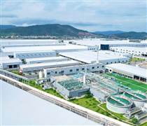 Cải cách thủ tục thành lập tổ chức kinh tế, thúc đẩy đầu tư