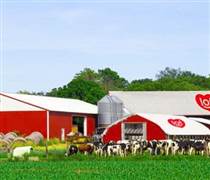 IDP: Sữa Quốc tế Lof chốt ngày tham dự ĐHĐCĐ thường niên năm 2026