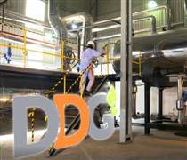 DDG: Báo lỗ kỷ lục, “trắng” doanh thu trong quý IV/2025