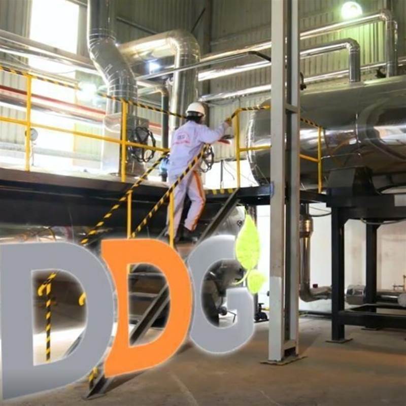 DDG: Báo lỗ kỷ lục, “trắng” doanh thu trong quý IV/2025