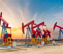 LCG: Lợi nhuận quý IV tăng đột biến, tham vọng với mảng năng lượng tại Indonesia