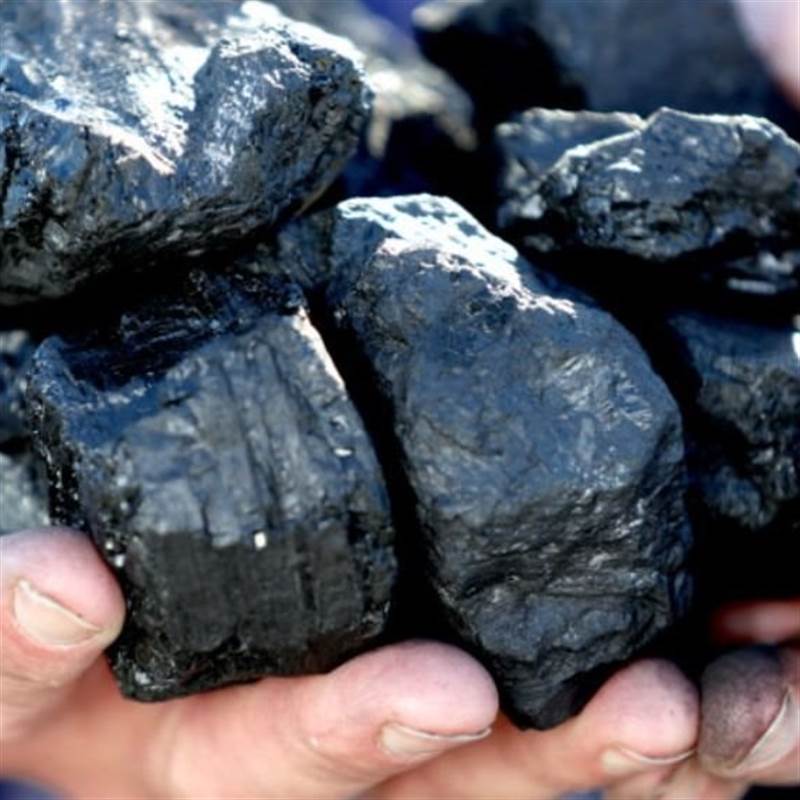 Trung Quốc và Ấn Độ quay lưng với than nhập khẩu: Cú rẽ của thị trường toàn cầu