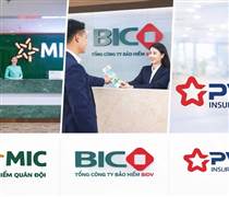 Trước kỳ thanh tra hoạt động bảo hiểm, BIC, MIC và PVI kinh doanh ra sao?