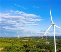 Trung Nam Đắk Lắk 1 mua lại hơn 200 tỷ đồng trái phiếu