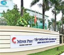 MPC: Minh Phú báo lãi trở lại trong năm 2025