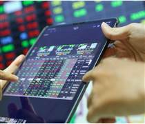 Thị trường chứng khoán trên HOSE tháng 1/2026: Dòng tiền sôi động, giao dịch khởi sắc