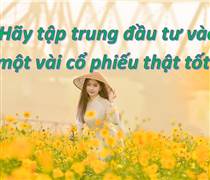 Chứng khoán Việt Nam: Hết thời kỳ vọng ảo, đến thời giá trị thật