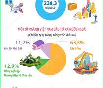 Tháng 1/2026: Đầu tư của Việt Nam ra nước ngoài đạt 238,3 triệu USD, gấp 2,9 lần so với cùng kỳ năm 2025