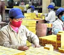 CAP: Doanh nghiệp kinh doanh vàng mã duy nhất trên sàn chứng khoán làm ăn ra sao?