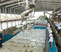 DCM: Phân bón Cà Mau chốt ngày đăng ký dự ĐHĐCĐ năm 2026