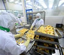 Xuất khẩu nông sản thích ứng toàn cầu vì mục tiêu 73-74 tỉ USD