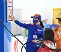 PLX: Chuyển đổi nhiên liệu: Thử thách ngắn hạn với PLX