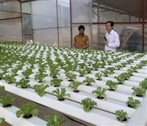 Lâm Đồng: Xây dựng kịch bản tăng trưởng theo chuyên ngành trên 4 lĩnh vực