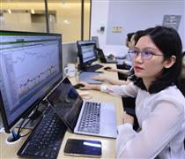 Thanh khoản rơi về đáy 8 tháng, VN-Index vẫn vượt 1.800 điểm nhờ đâu?