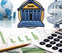 NHNN Khu vực 11 công bố kết luận thanh tra 1 chi nhánh ngân hàng