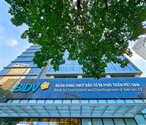 Sắc xuân về với cổ phiếu ngân hàng nhóm Big 3