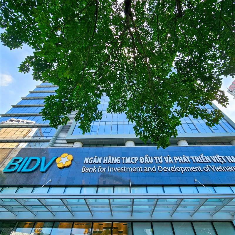 Sắc xuân về với cổ phiếu ngân hàng nhóm Big 3