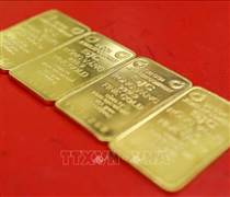 Giá vàng miếng sáng 14/2 tăng 2 triệu đồng/lượng