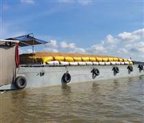 Việt Nam miễn thuế nhập khẩu 300.000 tấn gạo từ Campuchia