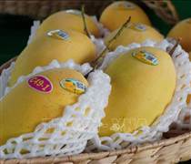 Giáp Tết, giá nhiều loại nông sản chủ lực tại Đồng Tháp tăng cao