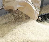 Giá gạo Ấn Độ và Thái Lan ít biến động trước thềm Tết Nguyên đán