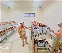 Đảm bảo an ninh năng lượng: Nền tảng cho tăng trưởng GDP hai con số