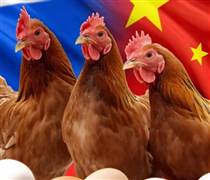 Chứng kiến hiện tượng chưa từng có với Trung Quốc, Nga đưa ra cảnh báo