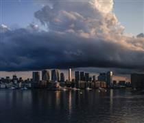 Nhật Bản lại đón tin buồn