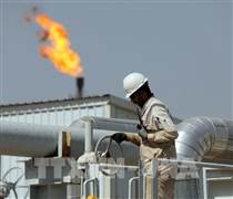 Giá dầu Brent giảm nhẹ khi thị trường dồn sự chú ý vào đàm phán Mỹ - Iran