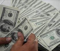 Đồng USD duy trì đà tăng trong phiên giao dịch đầu năm Bính Ngọ