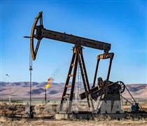 Giá dầu ổn định khi thị trường thận trọng trước tiến trình đàm phán Mỹ - Iran