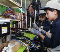 Nghị định số 20/2026/NĐ-CP tạo sóng mới cho cổ phiếu công nghệ, khu công nghiệp