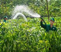 GVR: Đẩy mạnh đầu tư xanh, phát triển khu công nghiệp xanh – điện sạch