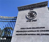 Trung Quốc trình văn kiện chính sách toàn diện đầu tiên về cải cách WTO