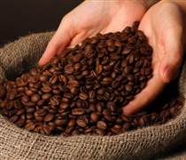 Bản tin nông sản hôm nay (20-2): Giá cà phê tiếp tục neo ở vùng giá cao