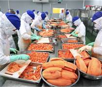 Xuất khẩu rau quả đạt 'kỷ lục kép', kỳ vọng lập đỉnh 10 tỉ USD