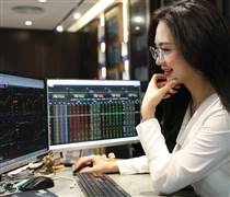 Sàng lọc cổ phiếu bất động sản sáng giá khi trần tín dụng 25%