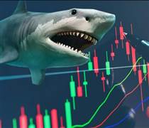 Khối quỹ ngoại cơ cấu danh mục ra sao trước kỳ nghỉ Tết?