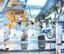 Ngược chiều trong 2025: Phân bón tăng tốc, hóa chất nặng gánh chi phí