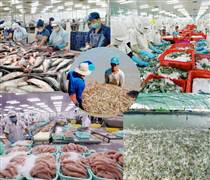 Ngành thủy sản bước vào chu kỳ cạnh tranh mới