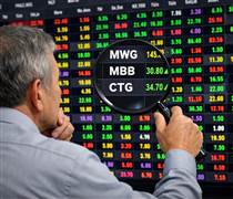 Soi top danh mục các "cá mập" nghìn tỷ: MWG cùng 2 cổ phiếu ngân hàng chiếm sóng