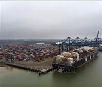 Anh đối mặt nguy cơ tăng thuế xuất khẩu sang Mỹ