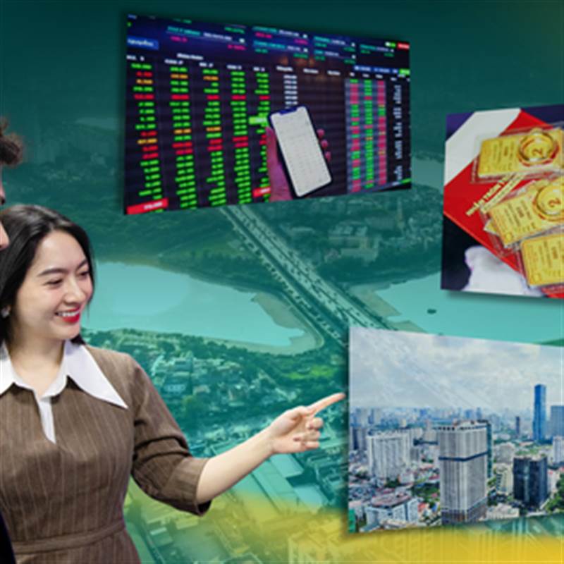 Năm Ngọ bỏ tiền vào đâu khi dòng tiền tìm kiếm giá trị bền vững?