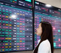 VN-Index tăng 36 điểm, nhà đầu tư nhận đầy ‘lì xì’ xanh tím ngay phiên đầu năm