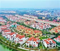 SJS: Vay vốn đầu tư Văn La giữa bối cảnh cổ phiếu bị thao túng, hai cá nhân bị phạt 3 tỷ đồng và đình chỉ giao dịch