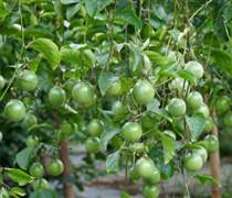 'Tin vui 500 triệu USD' từ châu Âu vừa báo về